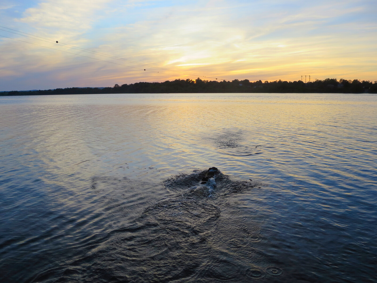 SwimmingTheAvon